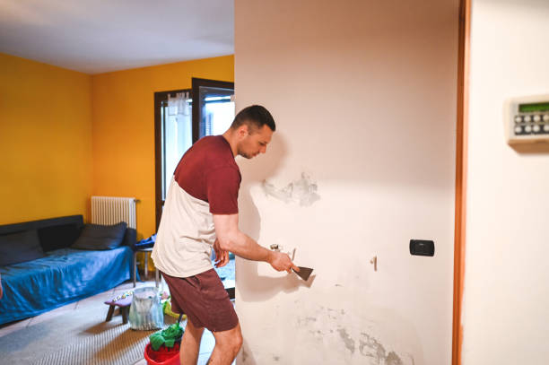 Best Basement Mold Remediation in Carrizozo, NM